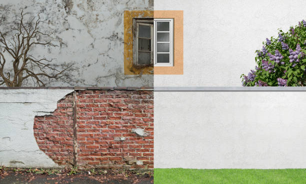 Trusted Whitaker, PA Mold Removal Experts